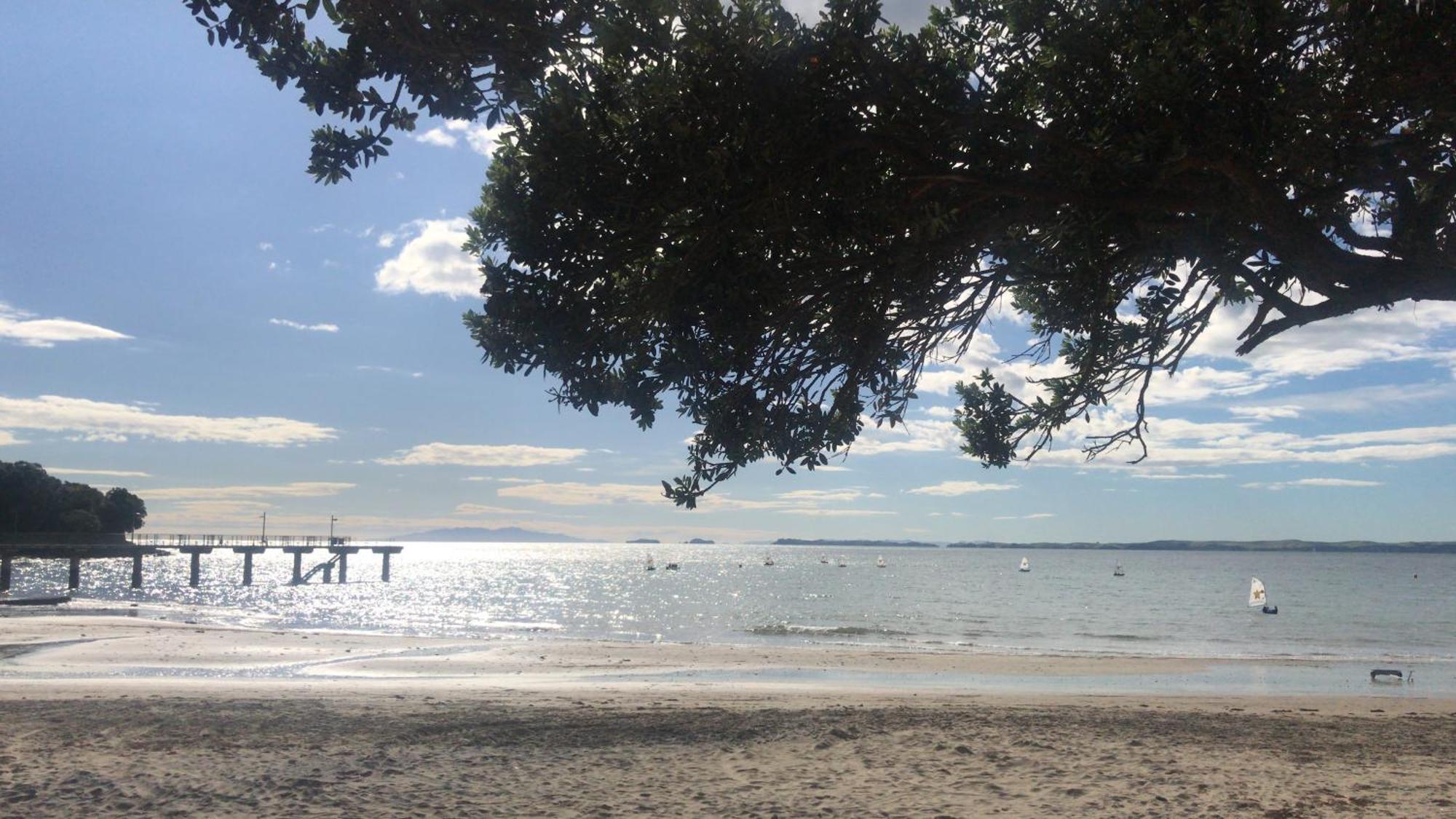 Beach Lodge Окленд Экстерьер фото